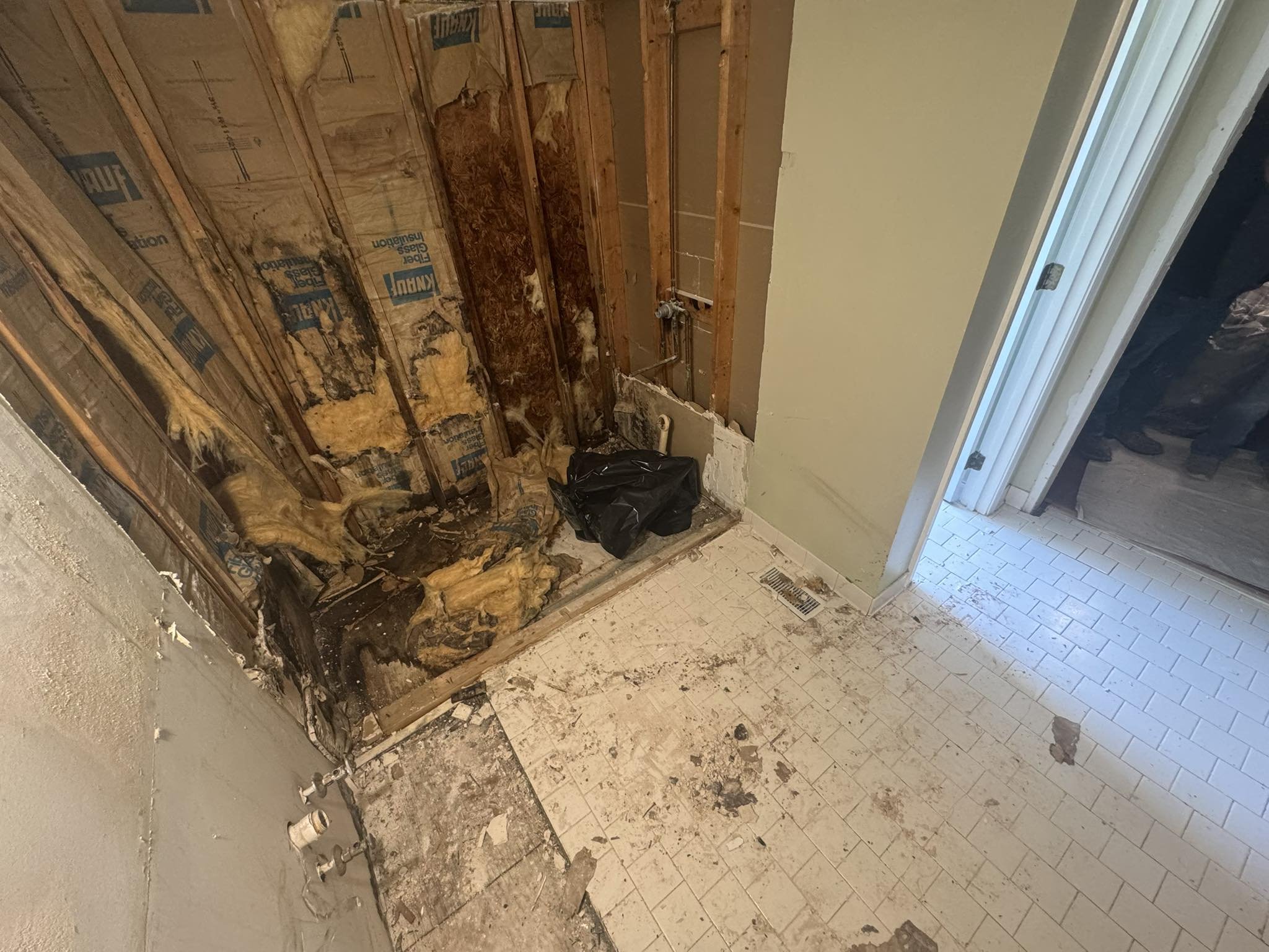 Kym Smith Bathroom demo.jpg