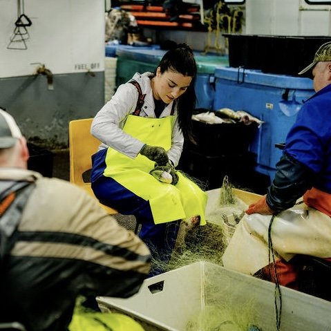 Person picking fish out of net