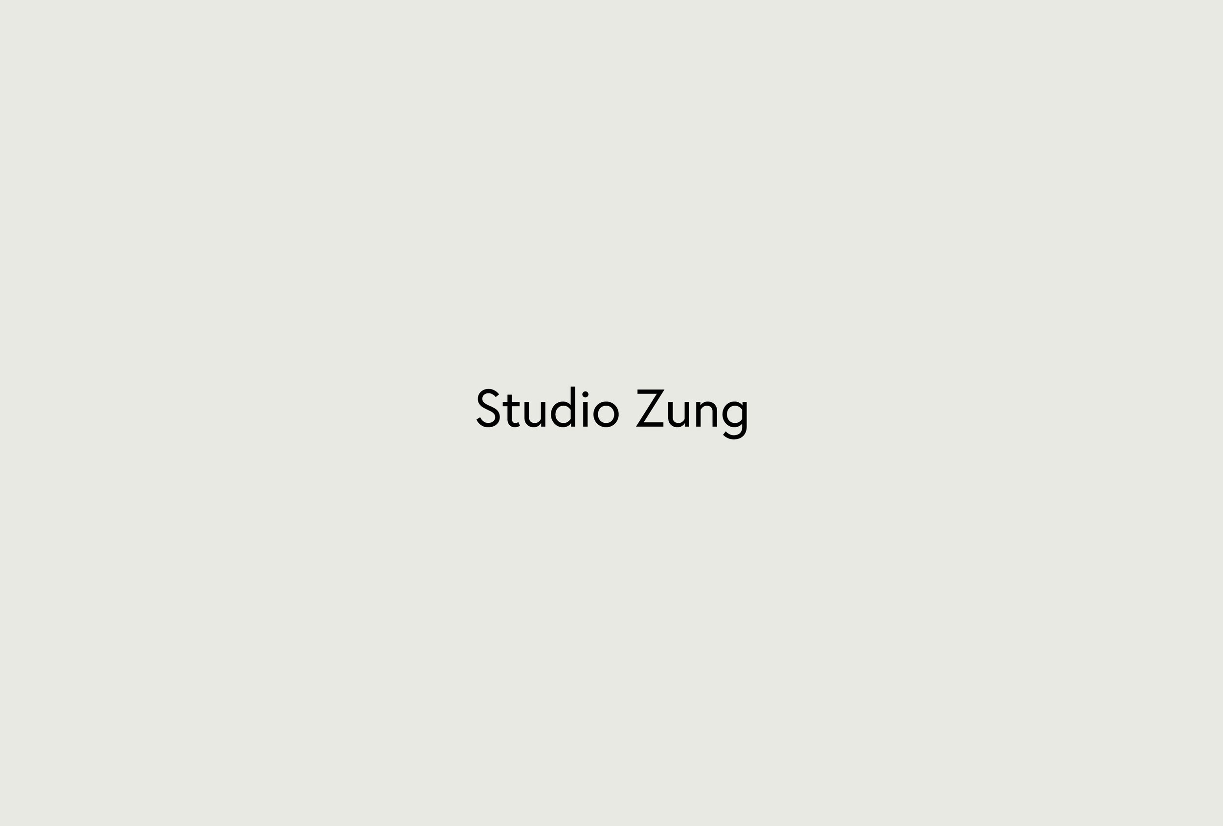 Studiozung-casestudy-talleycarlston2.jpg