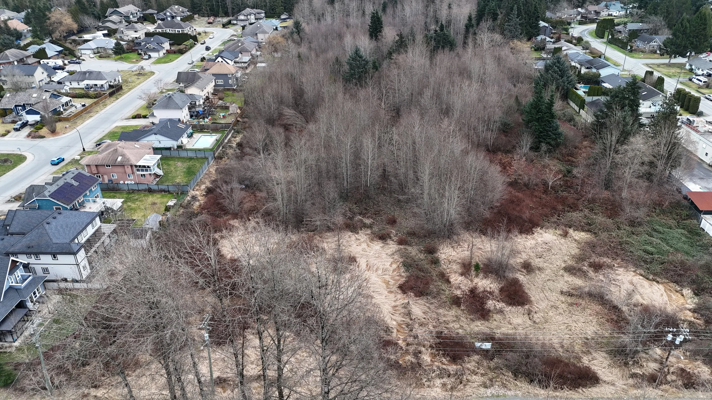 Aerial view of a residential neighborhood with houses and yards on the left, and a wooded area with trees and underbrush on the right.