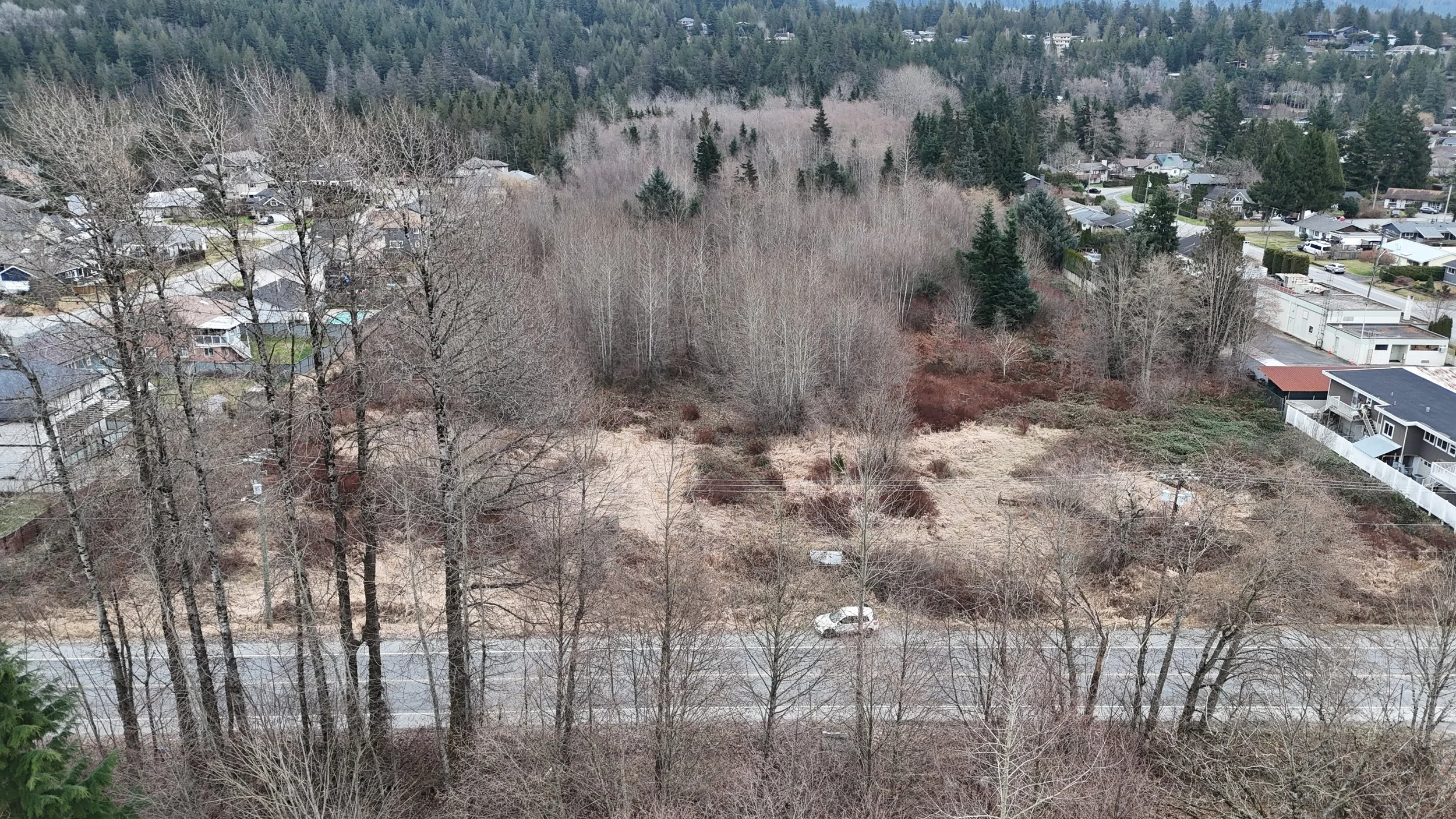 An aerial view of a residential neighborhood with houses, trees, and a road.
