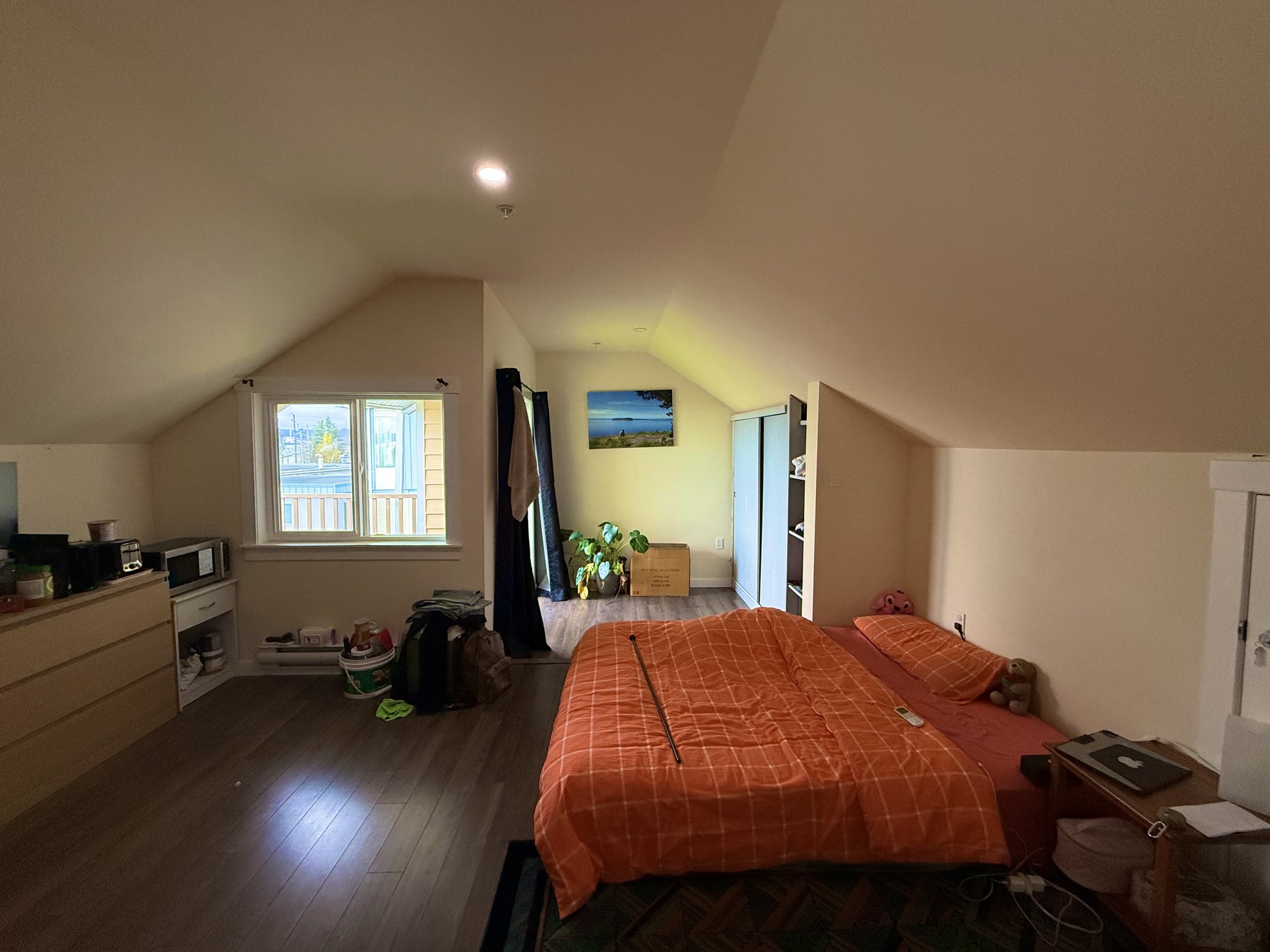 A bedroom with sloped ceilings, a bed with orange checkered bedding, a small side table with a laptop, a closet, a window showing an outside view, and some plants and decorations.