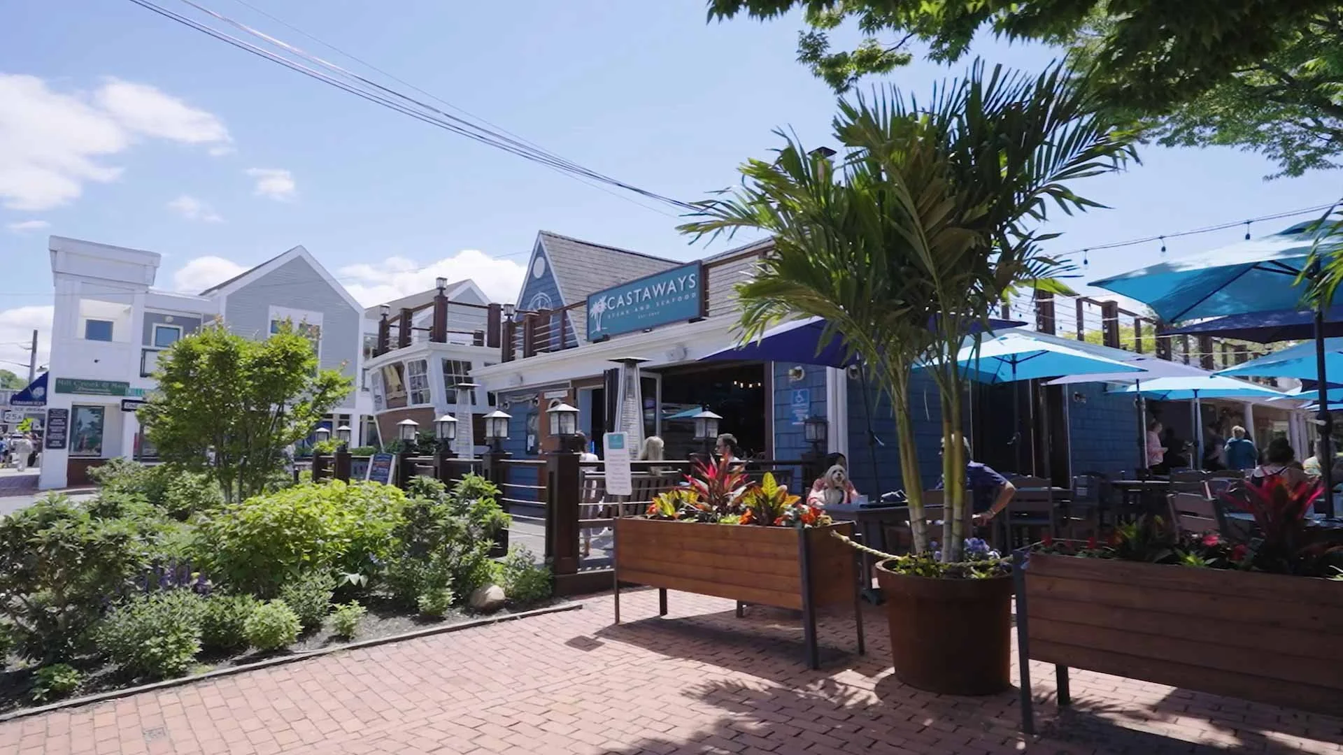 Castaway's