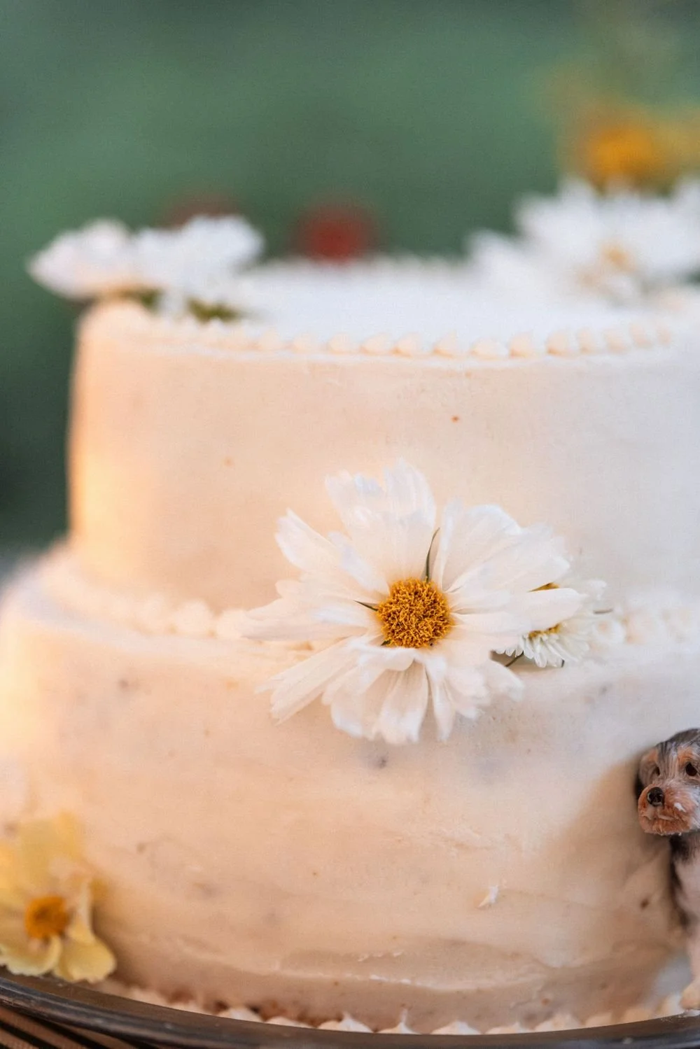 Wedding florals at The Henson, Hensonville, NY — gardeny red, creams, and greens with seasonal produce by Fiora floral design, Hudson Valley wedding florist.