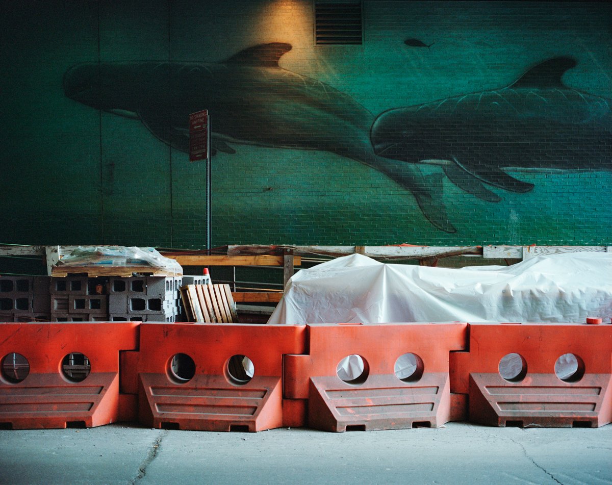 New York, NY, 2014