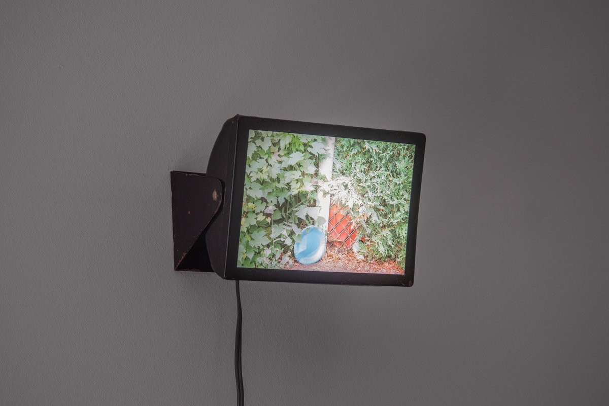 Untitled, 2022 (Darkroom safe light with inkjet transparency)