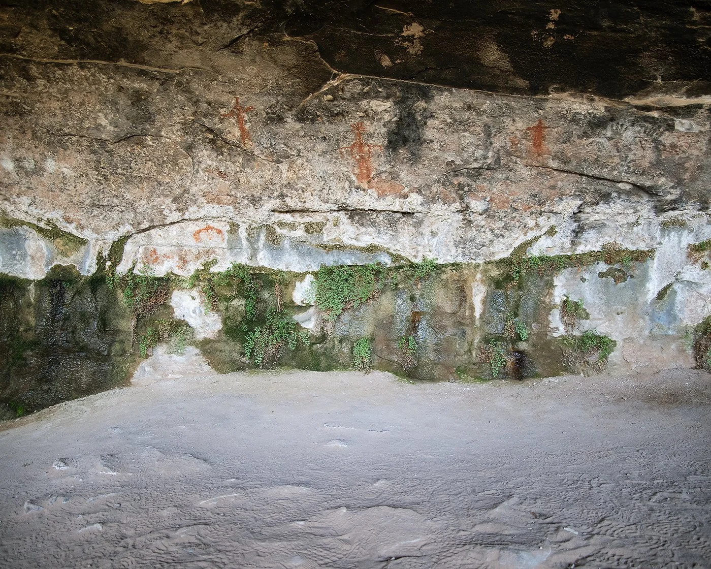 Ancient Spring, Canyonlands National Park, Utah, 2025