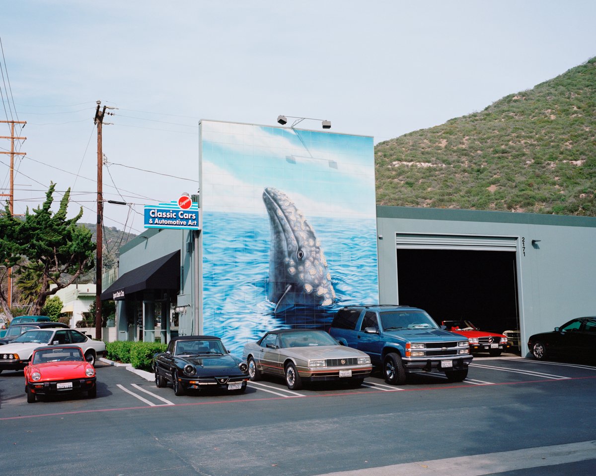 Laguna Beach, CA, 2013