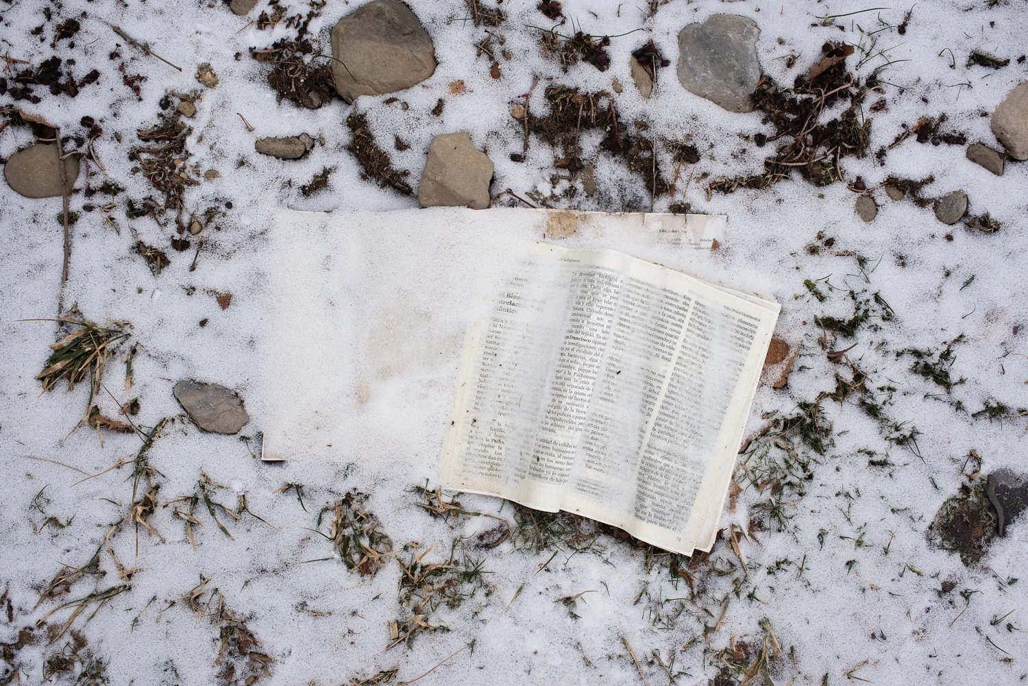 Carl Sagan’s Grave, Ithaca, NY, 2025