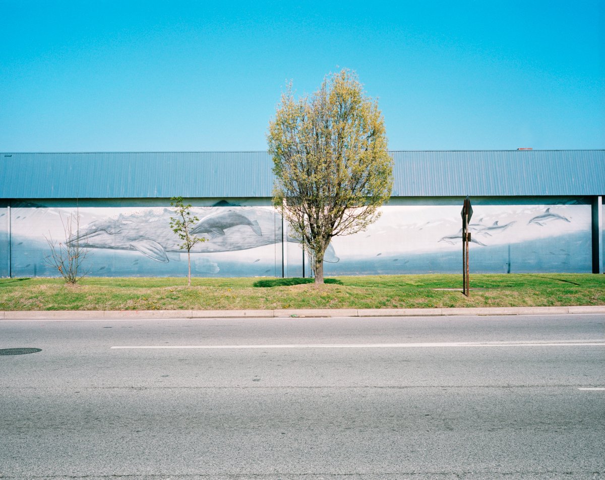 Baltimore, MD, 2014