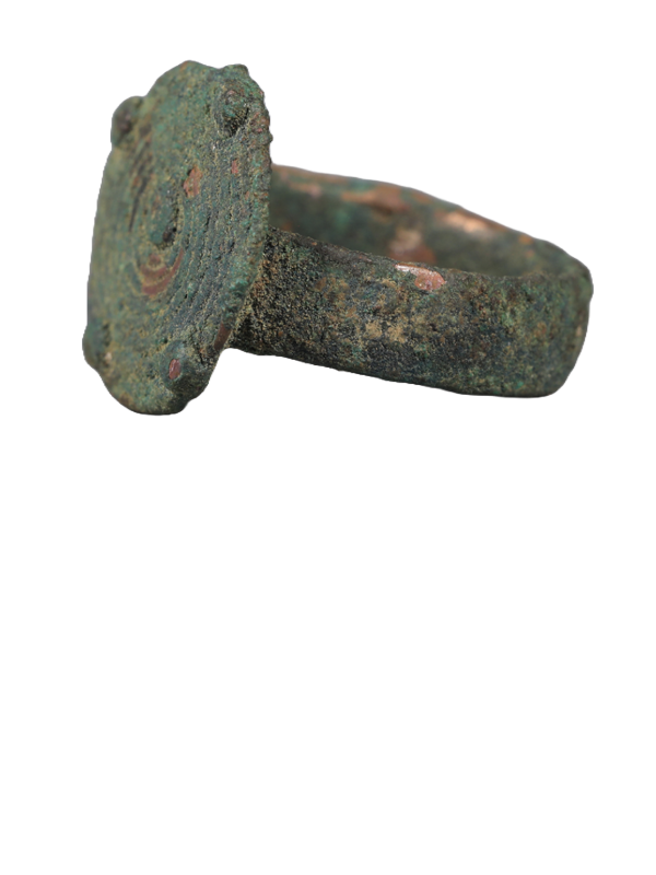Bactrina ring 22.png