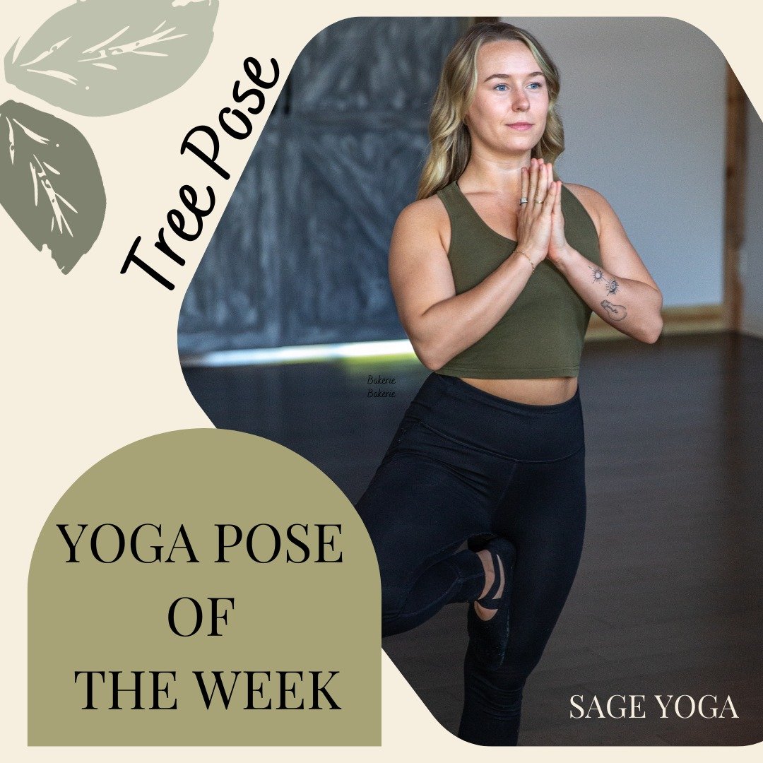 Pose of the Week! 🌳

Benefits of Tree Pose:

Strengthens legs, core, and ankles.

Improves balance and stability.

Enhances focus and concentration.

Can't quite find your balance? No problem! Grab a block or a sturdy book to place under your standi