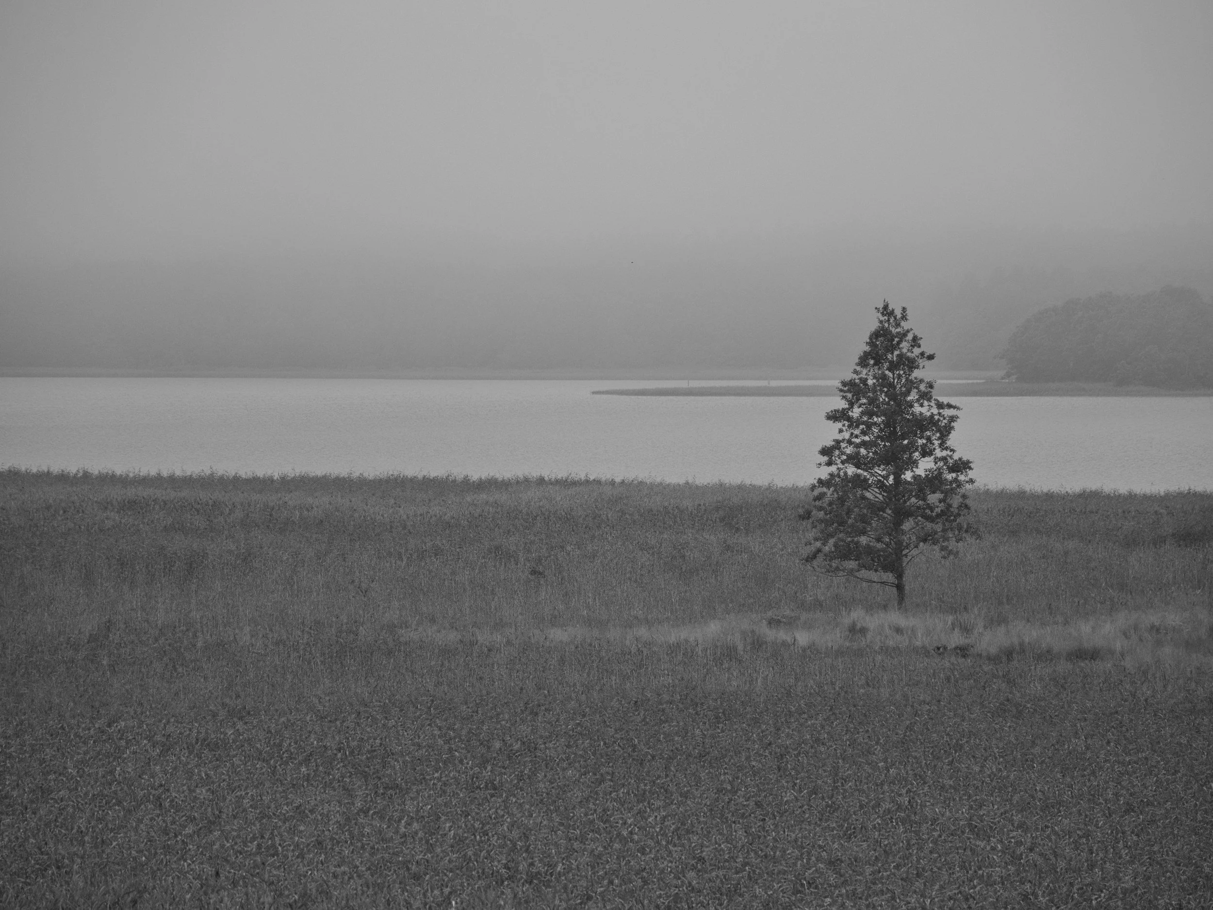 Finding God in the Grey Area