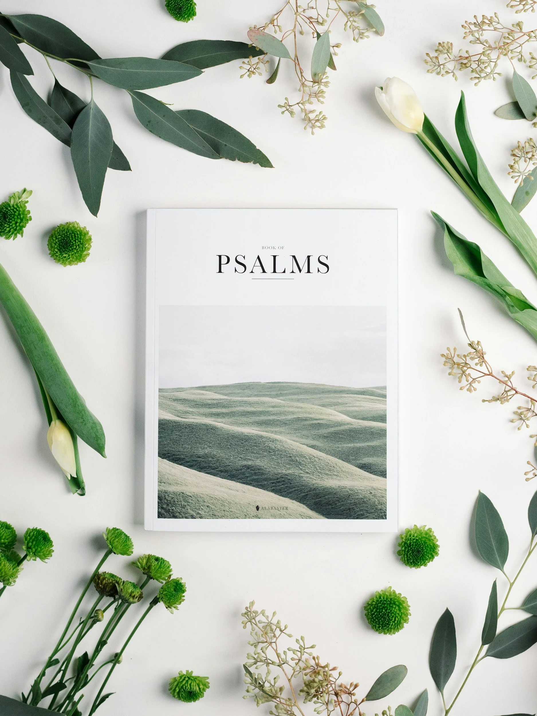 Psalm 40 - 7 Day Devotional - DAY 1