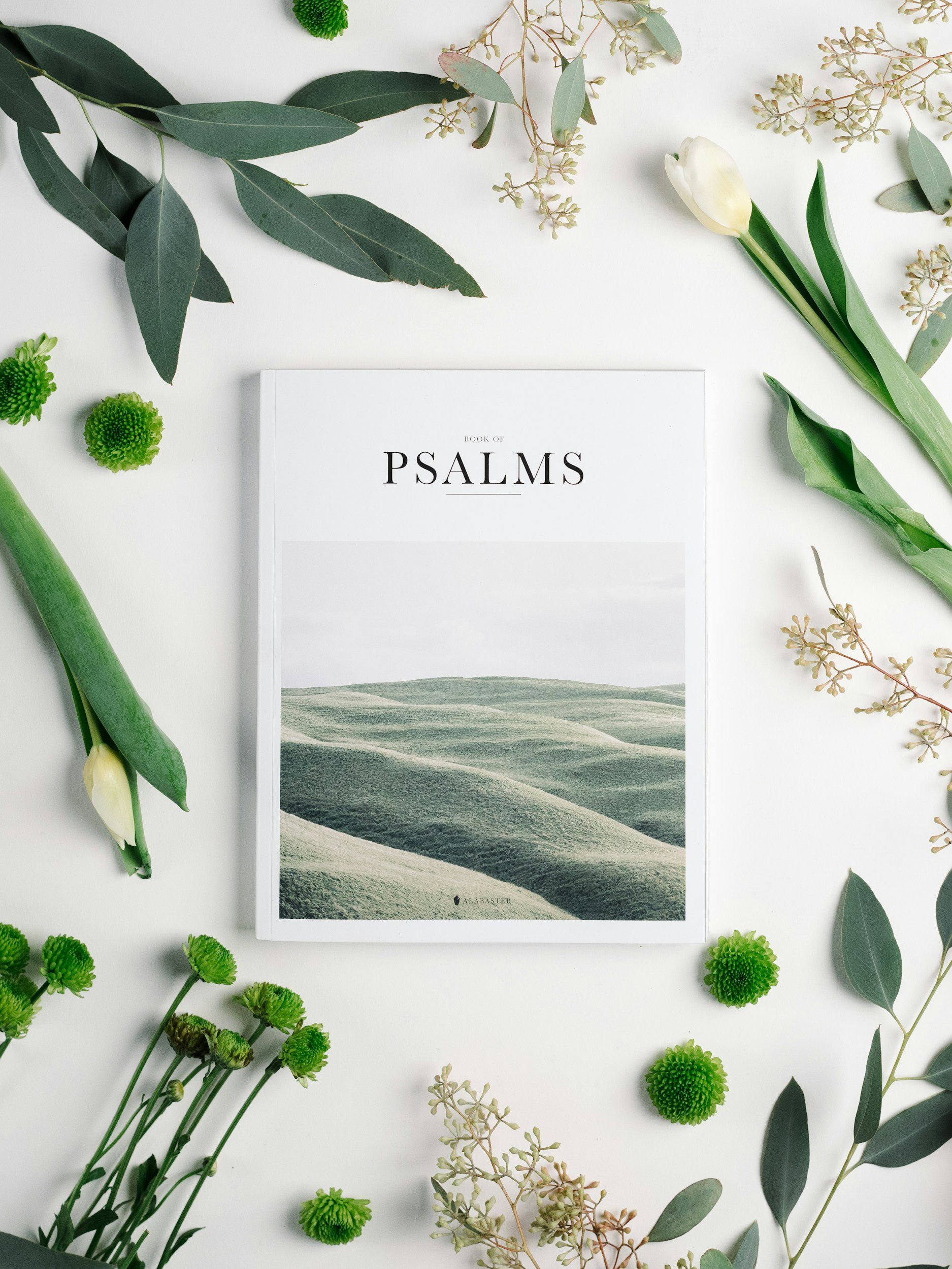 Psalm 40 - 7 Day Devotional - DAY 4
