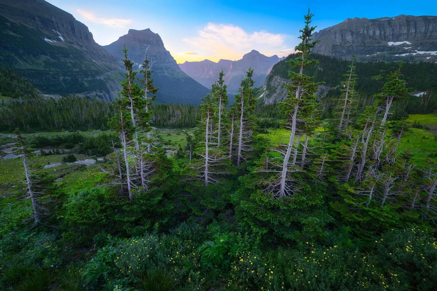 Glacier always delivers, but mornings up here are next level!🌲🙌
.
.
.
#montana #glacier #canon #sunrise #nationalparks #loganpass #3leggedthing #epic_landscape #earth_pix #earth_shotz #westglacier #landscape_captures #landscapephotography
