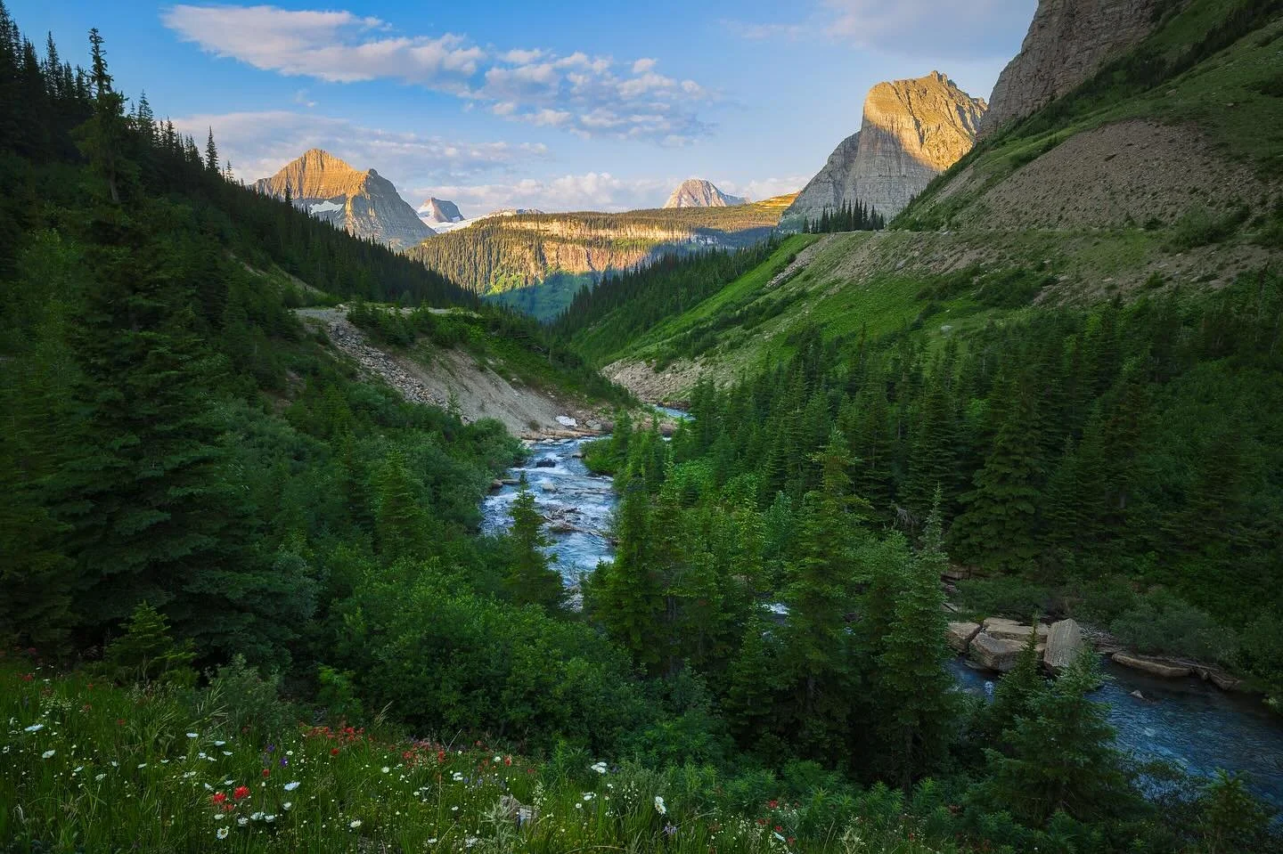 Caught this view just after sunrise at Siyeh Creek a few weeks back! Wildflowers popping off in the foreground and some epic golden light starting to hit the peaks and glaciers in the distance. 🙌💚
.
.
.
#canon4life #montana #glacier_national_park #