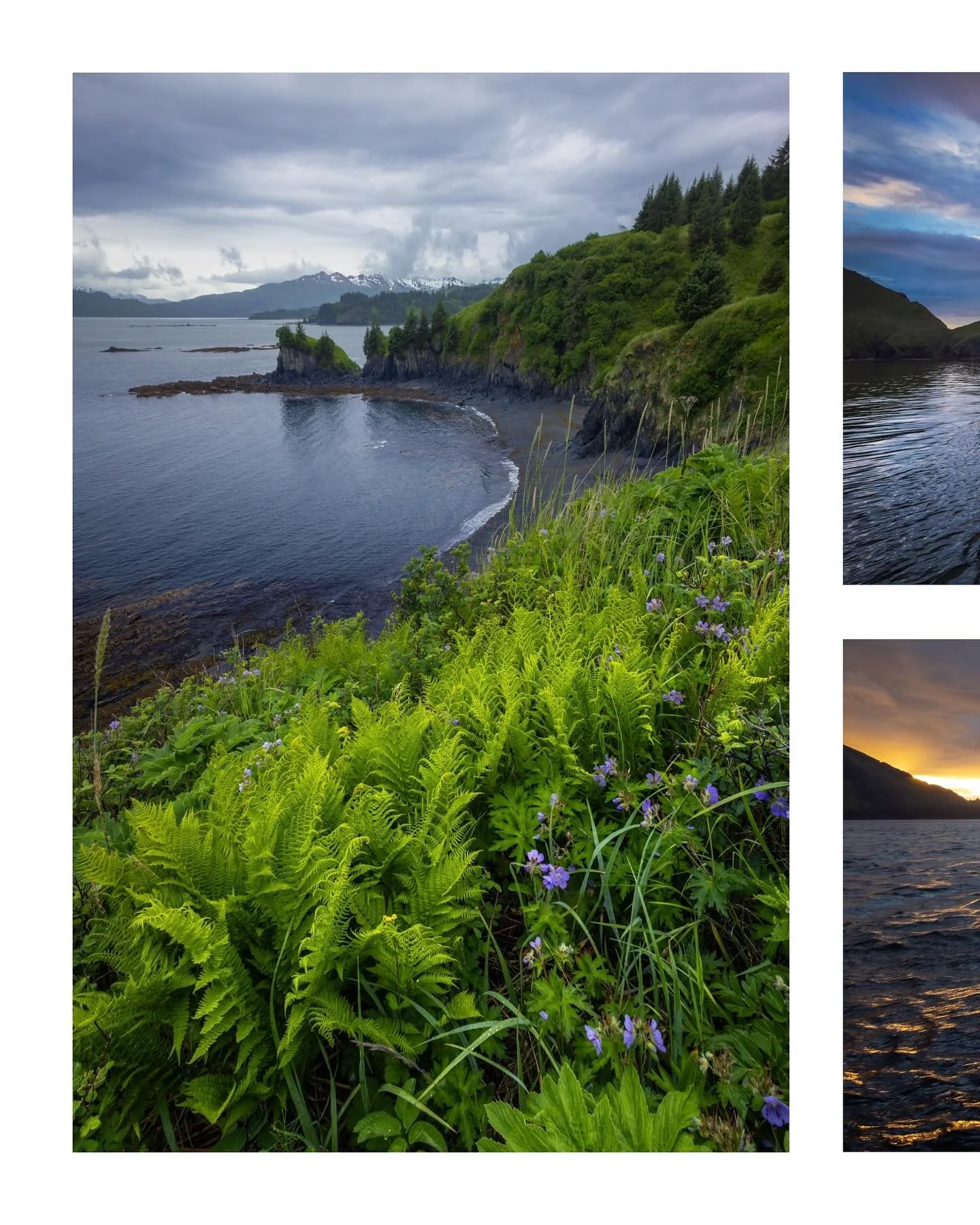 Couple frames from past Kodiak runs. Psyched to get back at it again this summer! 
.
.
.
#kodiak #alaska #salmon2025 #summersinalaska #canonusa #KodiakAlaska #AlaskaLife #AlaskaPhotography #FishingLife #CommercialFishing #OceanViews #WildPlaces #Adve