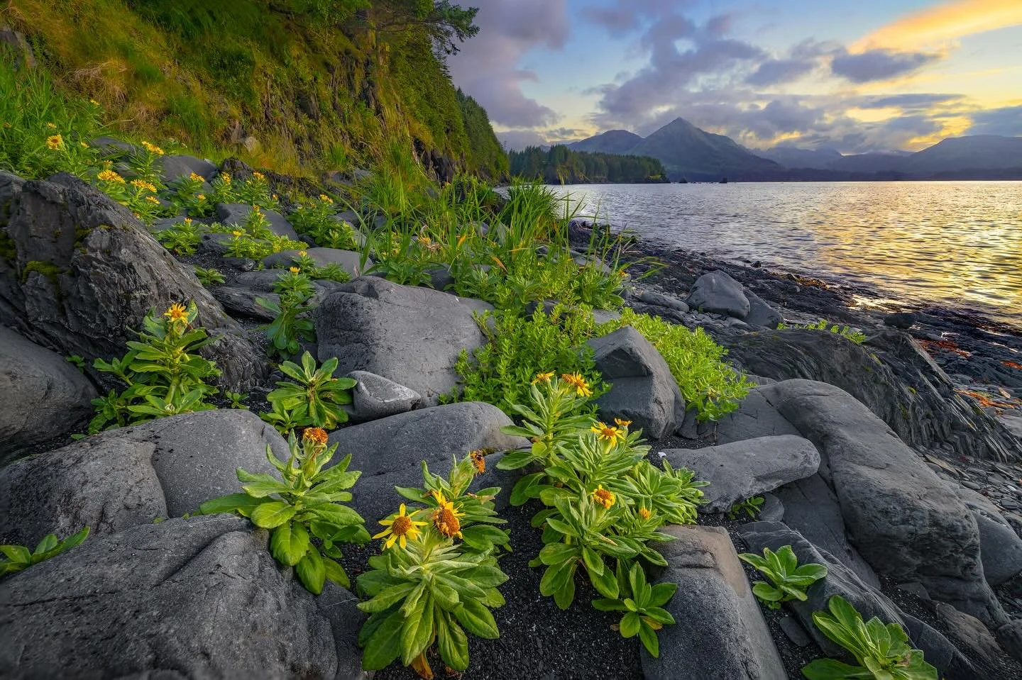 Alaska evenings have a way of holding onto the light.
Available as a fine art print
🔗Print Shop link in bio
.
.
.
#alaska #alaskaphotography #visitalaska #alaskalife #explorealaska #alaskawild #alaskacoast #aklife #alaskamountains #alaskanature #coa
