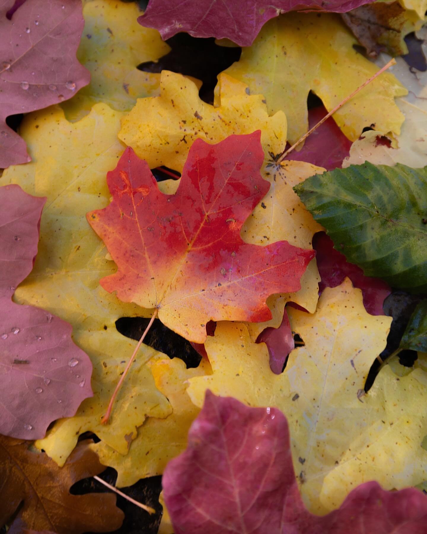 The Print Shop is officially live.
A collection of my best work
Available in fine art prints, metal, &amp; framed prints
Now available on Stillwater-landscapes.com
🔗Link in Bio
.
.
.
#stillwaterlandscapes #fineartphotography #landscapephotography #s