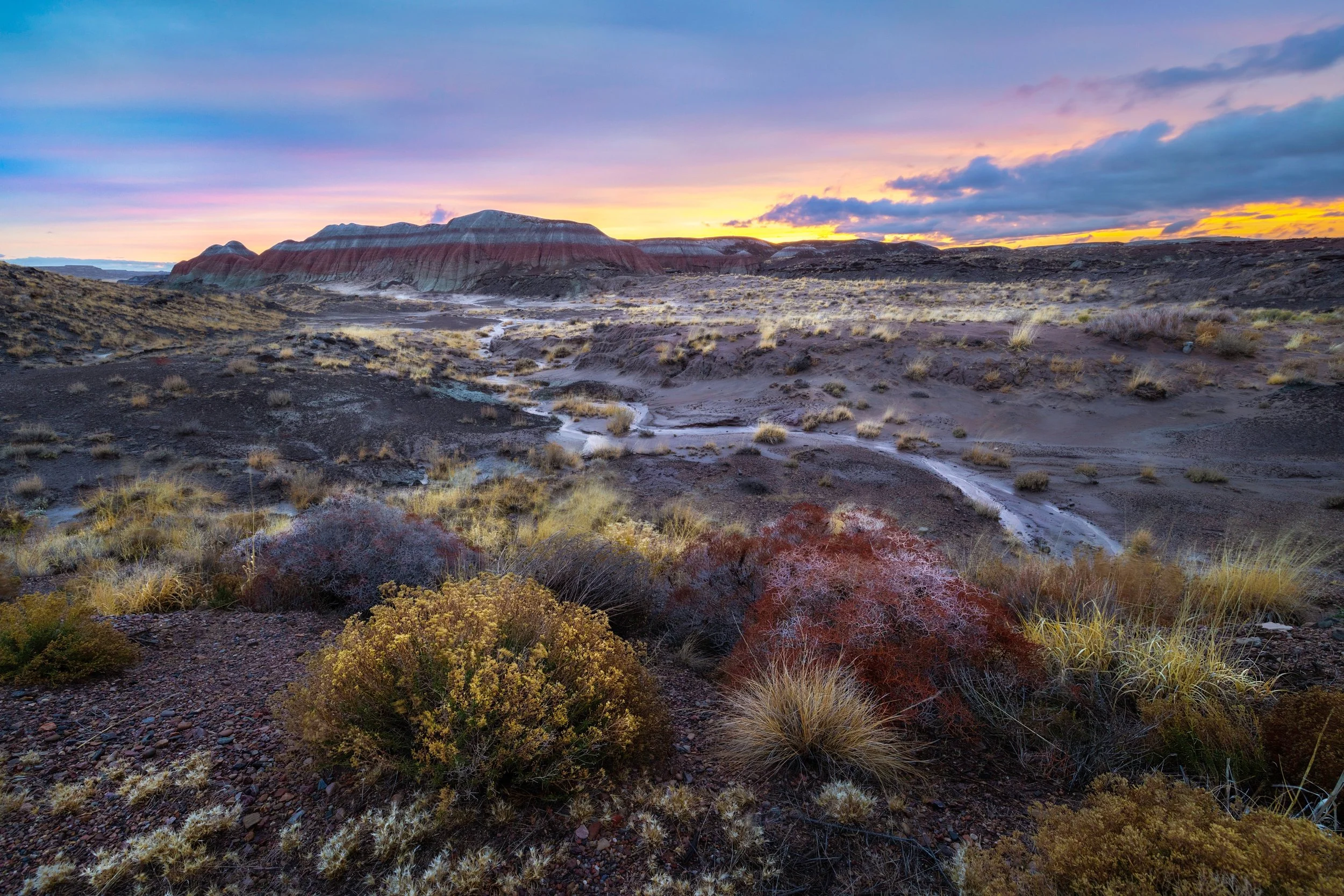 PetrifiedSunset.jpg