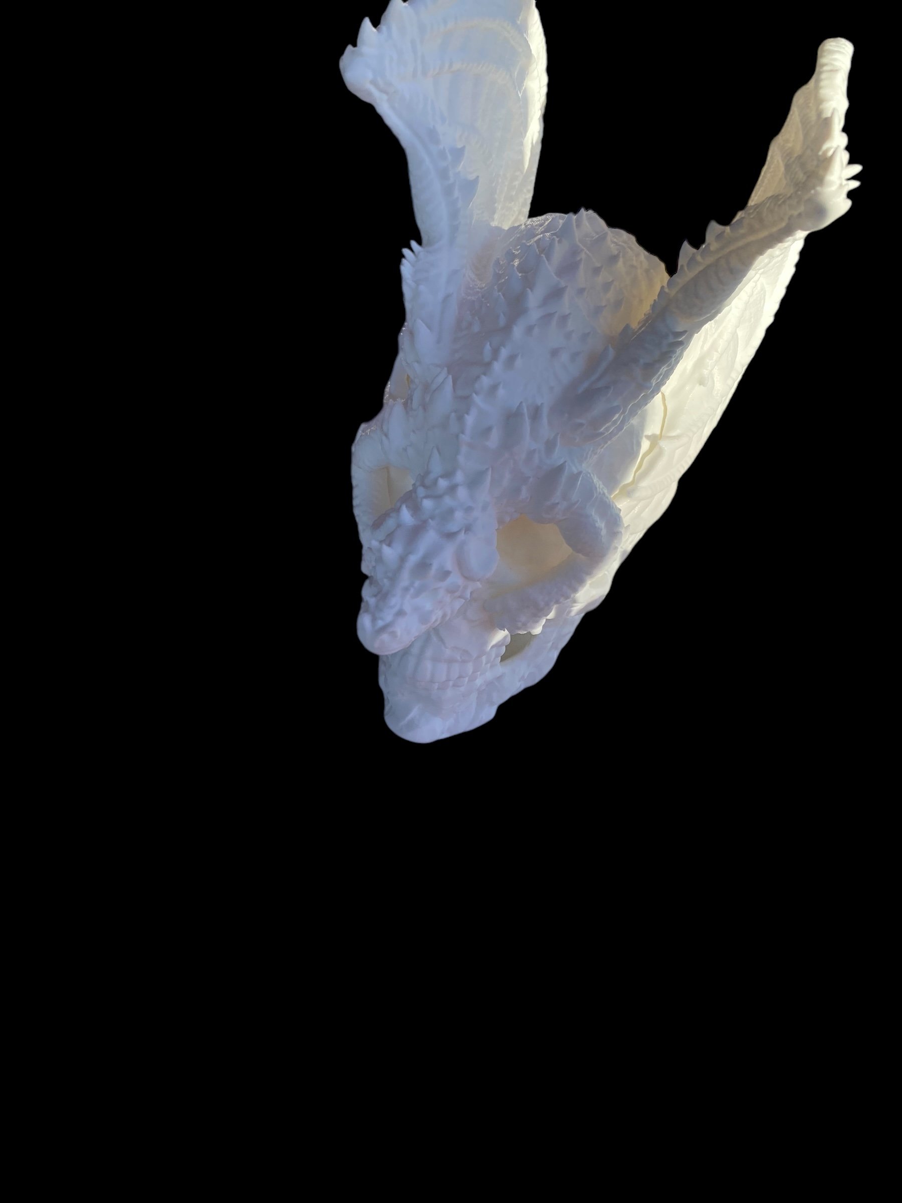 1E1F0BA6-0FBC-4D02-9922-E5E288FA0CB3.jpeg