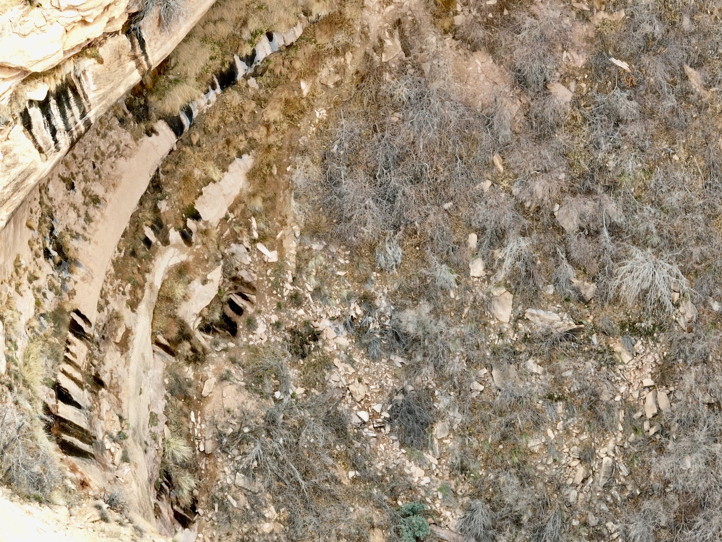 DJI_0866.jpeg