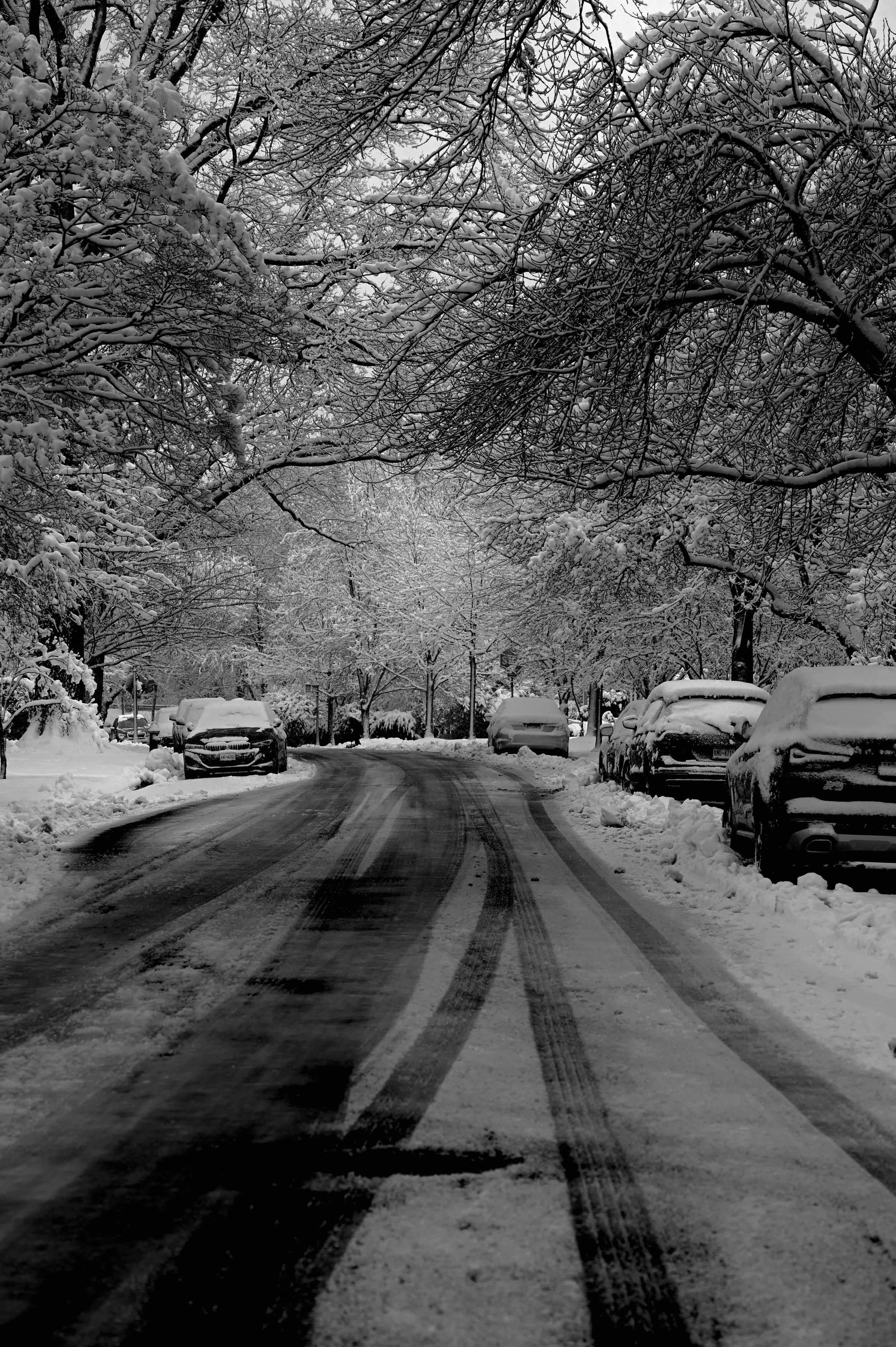DSC_1650.JPG
