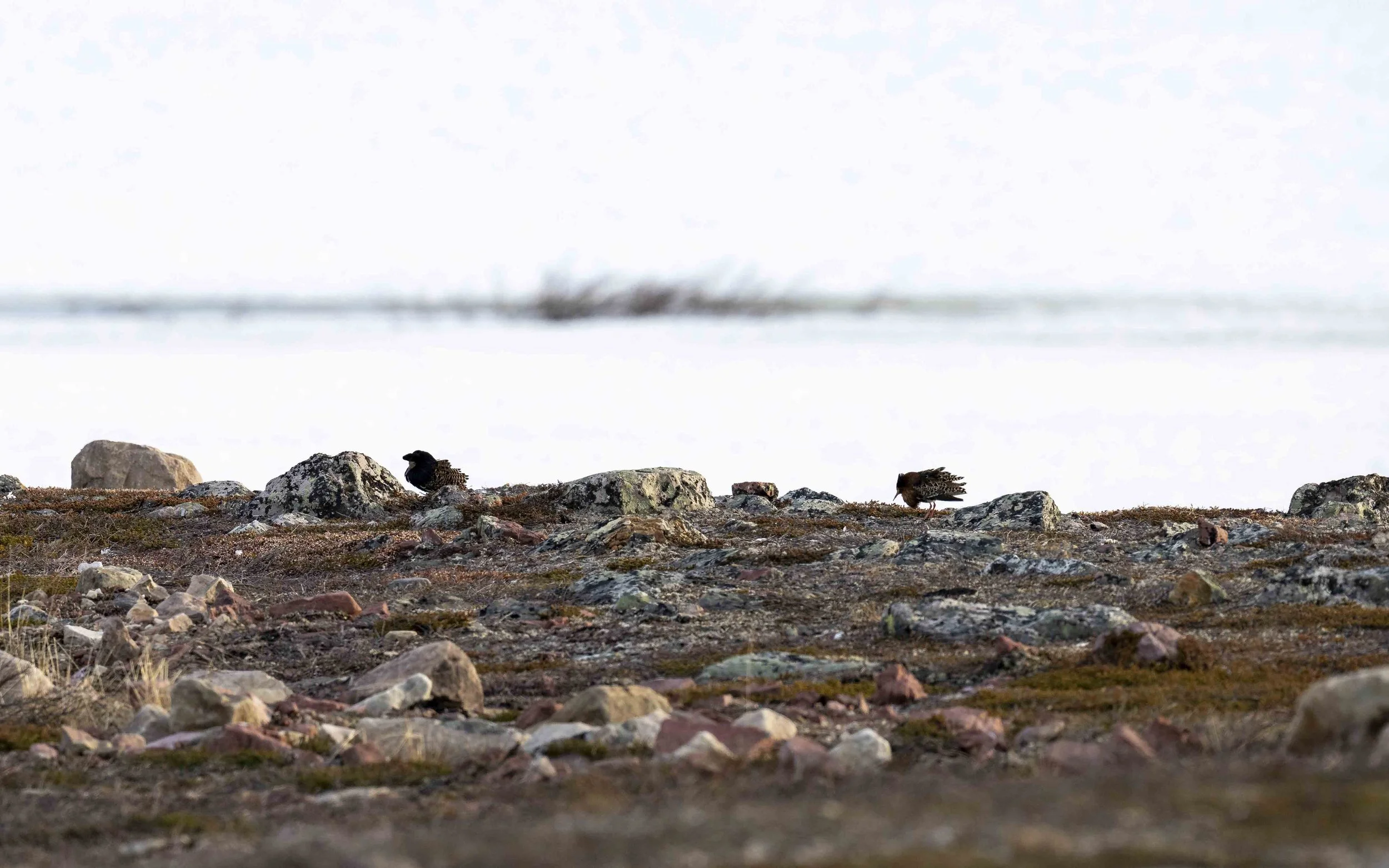 _DSC7686.jpg