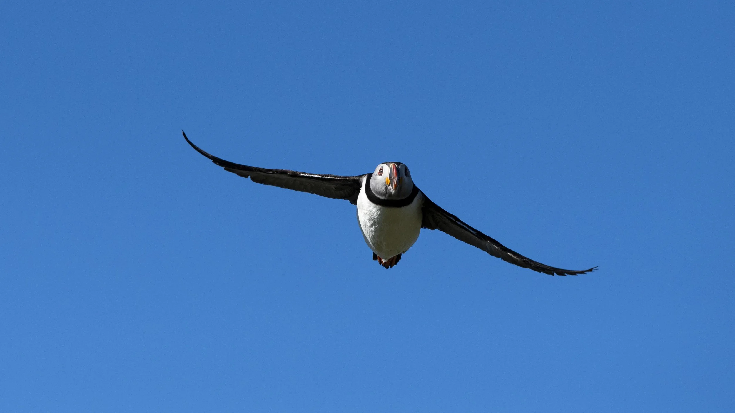 _DSC7360.jpg