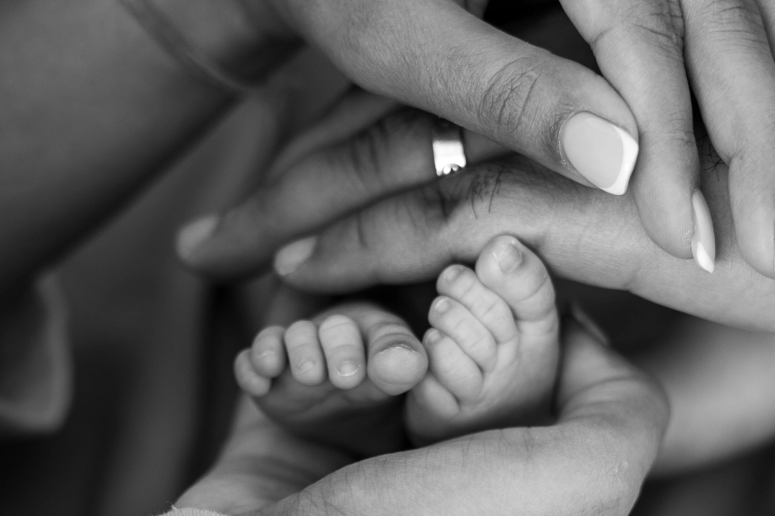 Black and white photo of babies toes with mother and fathers hand cradling them