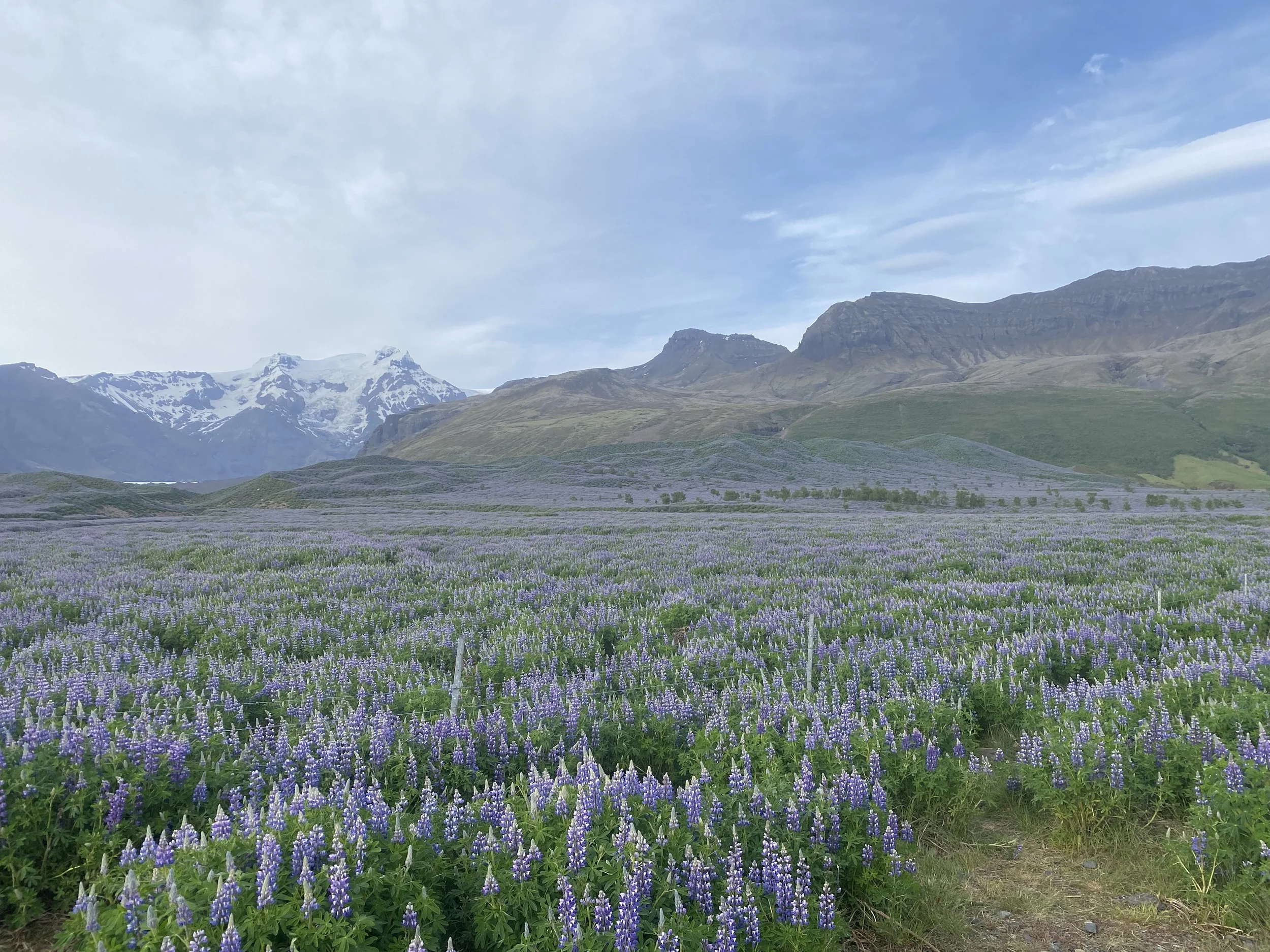 Introduction - Revit Background