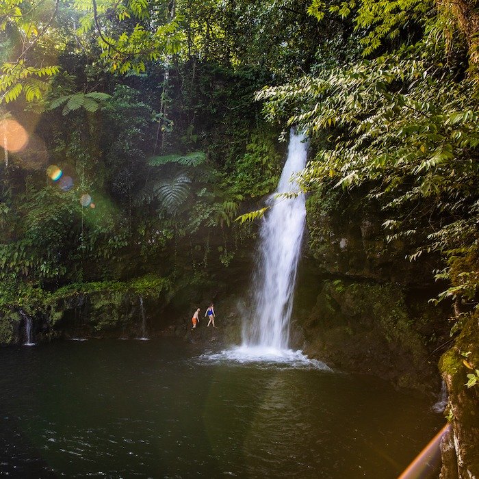 Explore Samoa's stunning waterfalls!  From Afu Aau Falls to Papapapaitai Falls, these natural wonders are the perfect way to cool off from the South Pacific heat. 🌿🌊