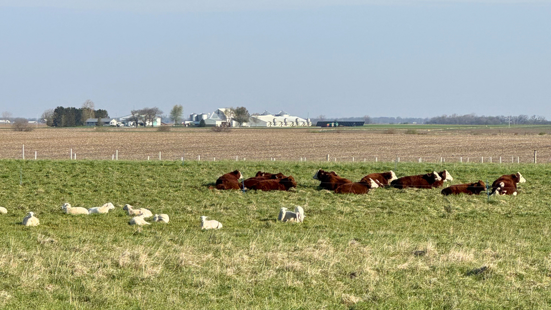 Cropland Grazing Pasture Walk