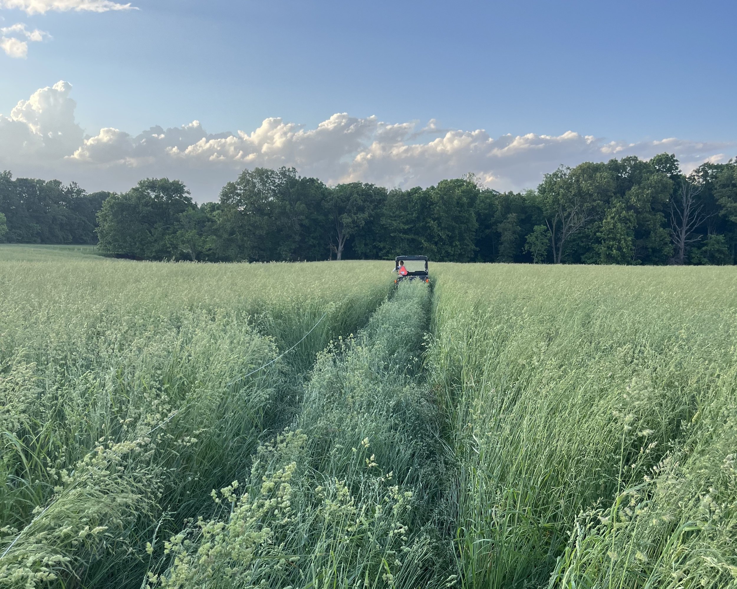 Grazing School - Iuka, IL