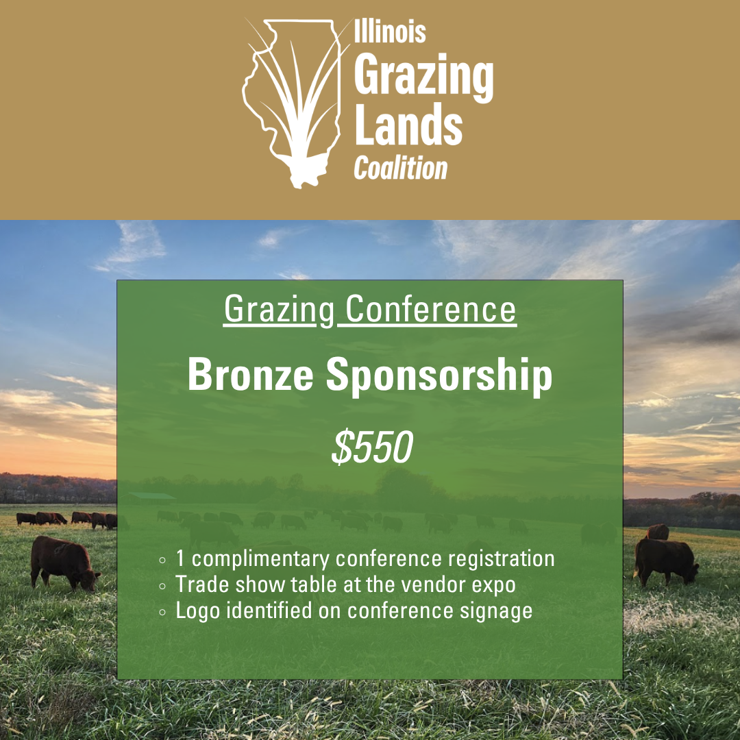 Bronze Sponsorship
