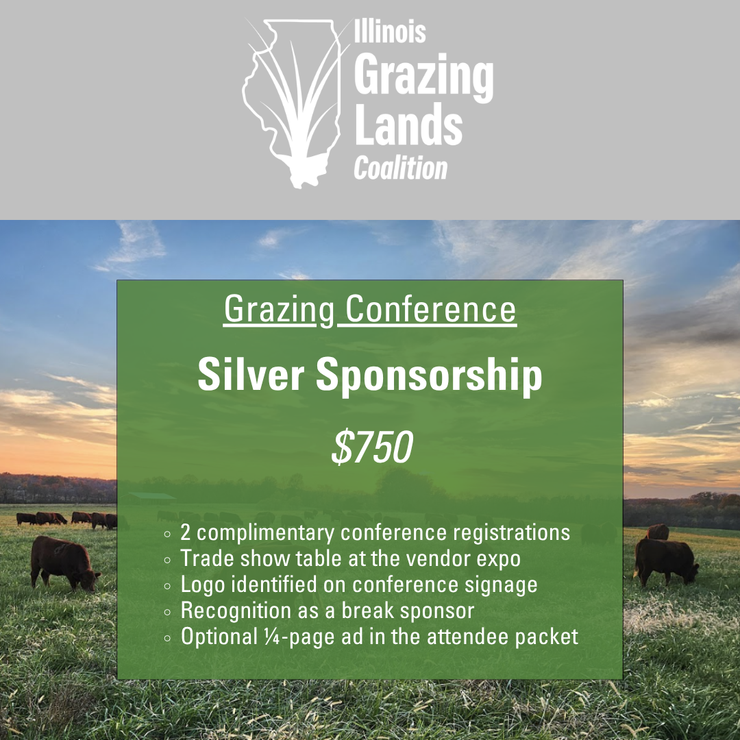 Silver Sponsorship