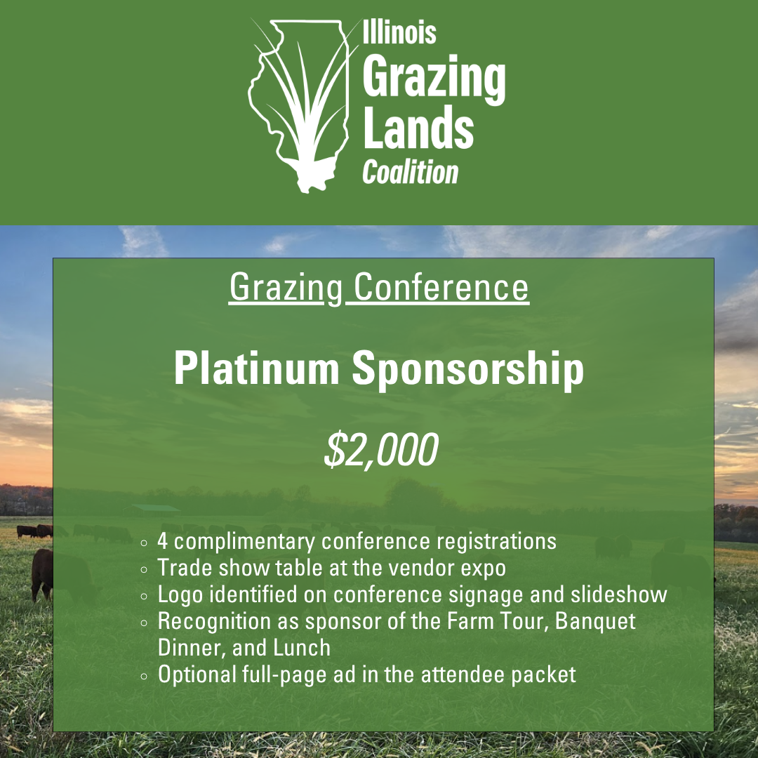 Platinum Sponsorship