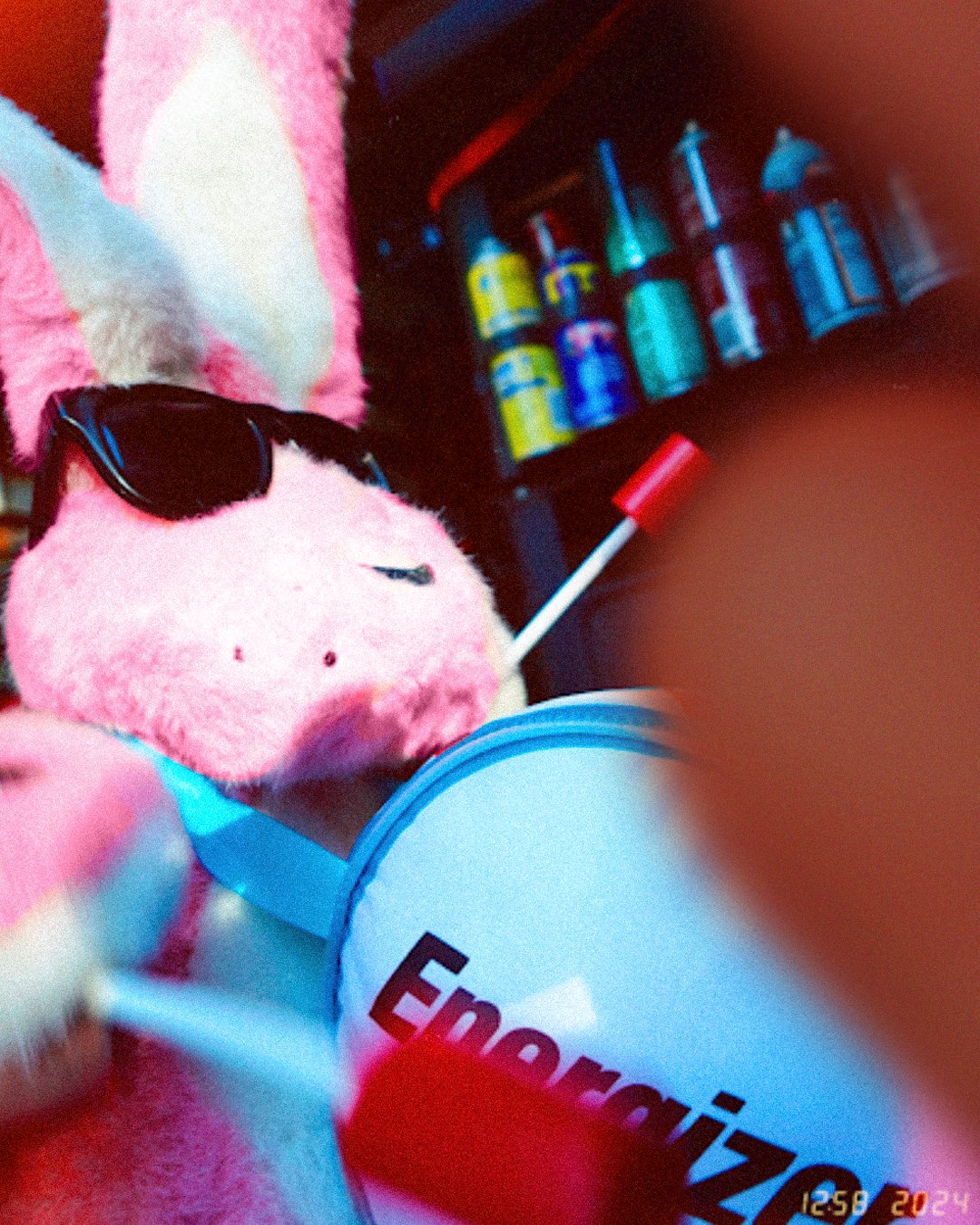 Disposable Camera Dump - Slide 1.jpg