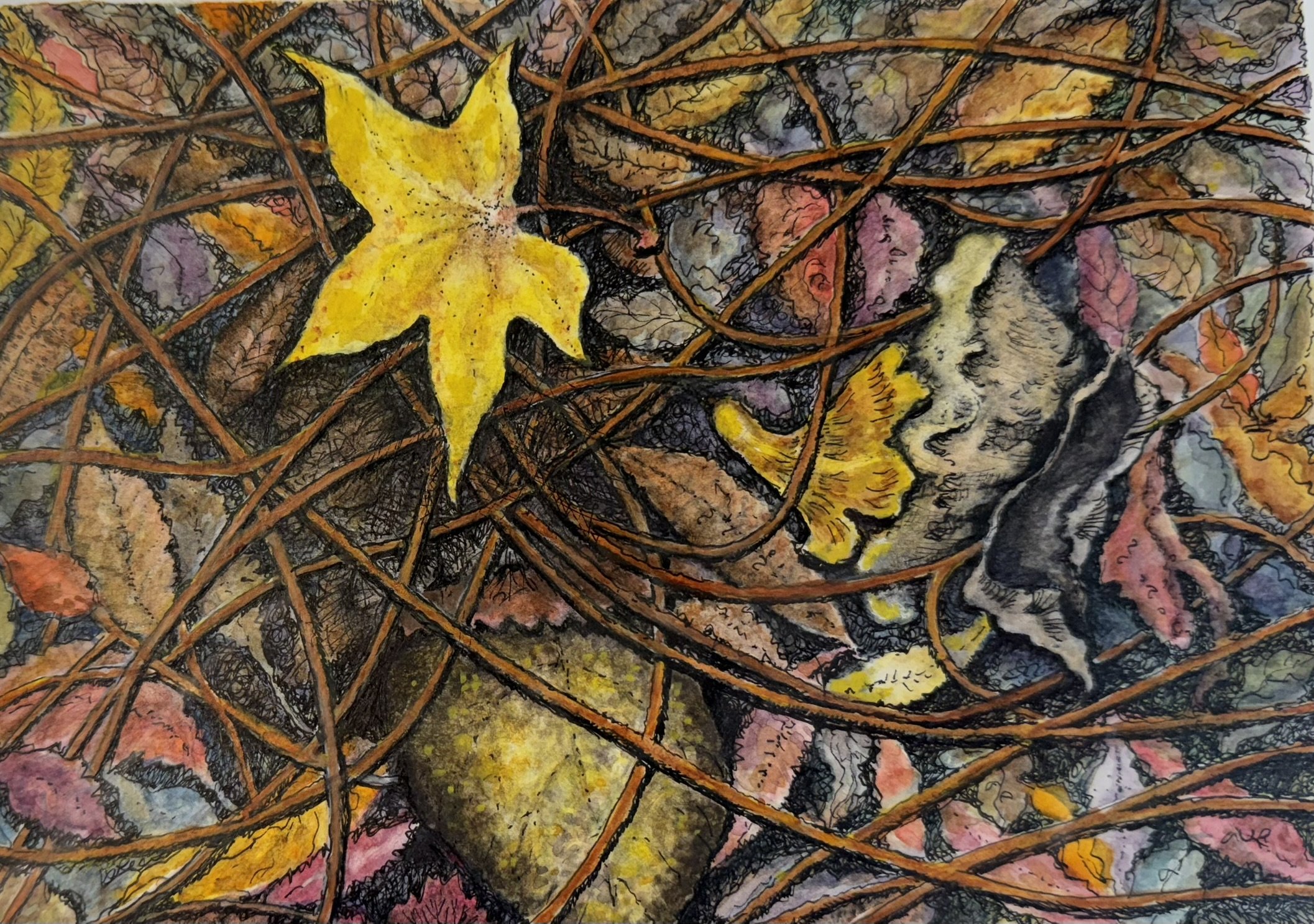 IMG_6732_Oregon fall leaves -Talent.JPEG