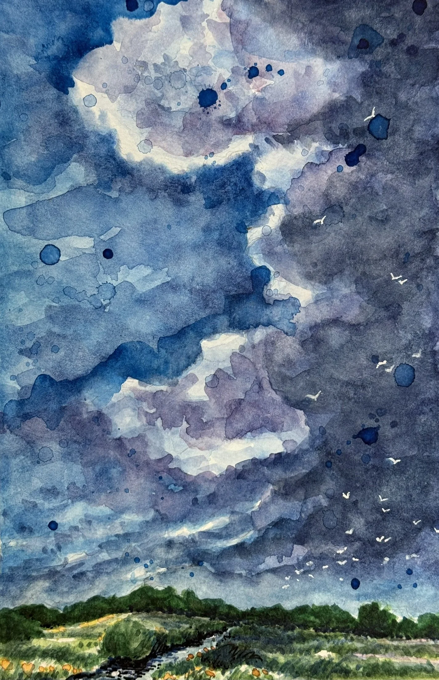 IMG_6628_cloud study.JPEG