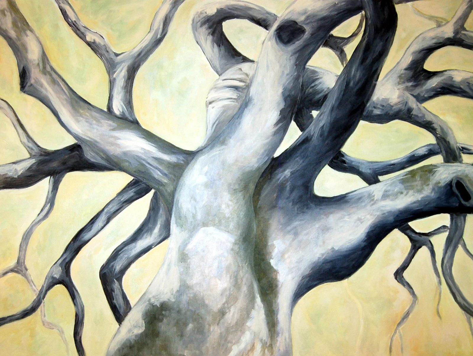 oak tree middle.jpg