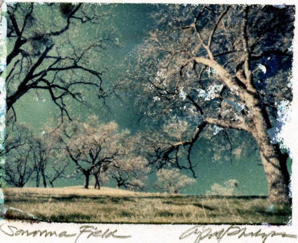 Sized_April-Art_Sonoma-Field.jpg