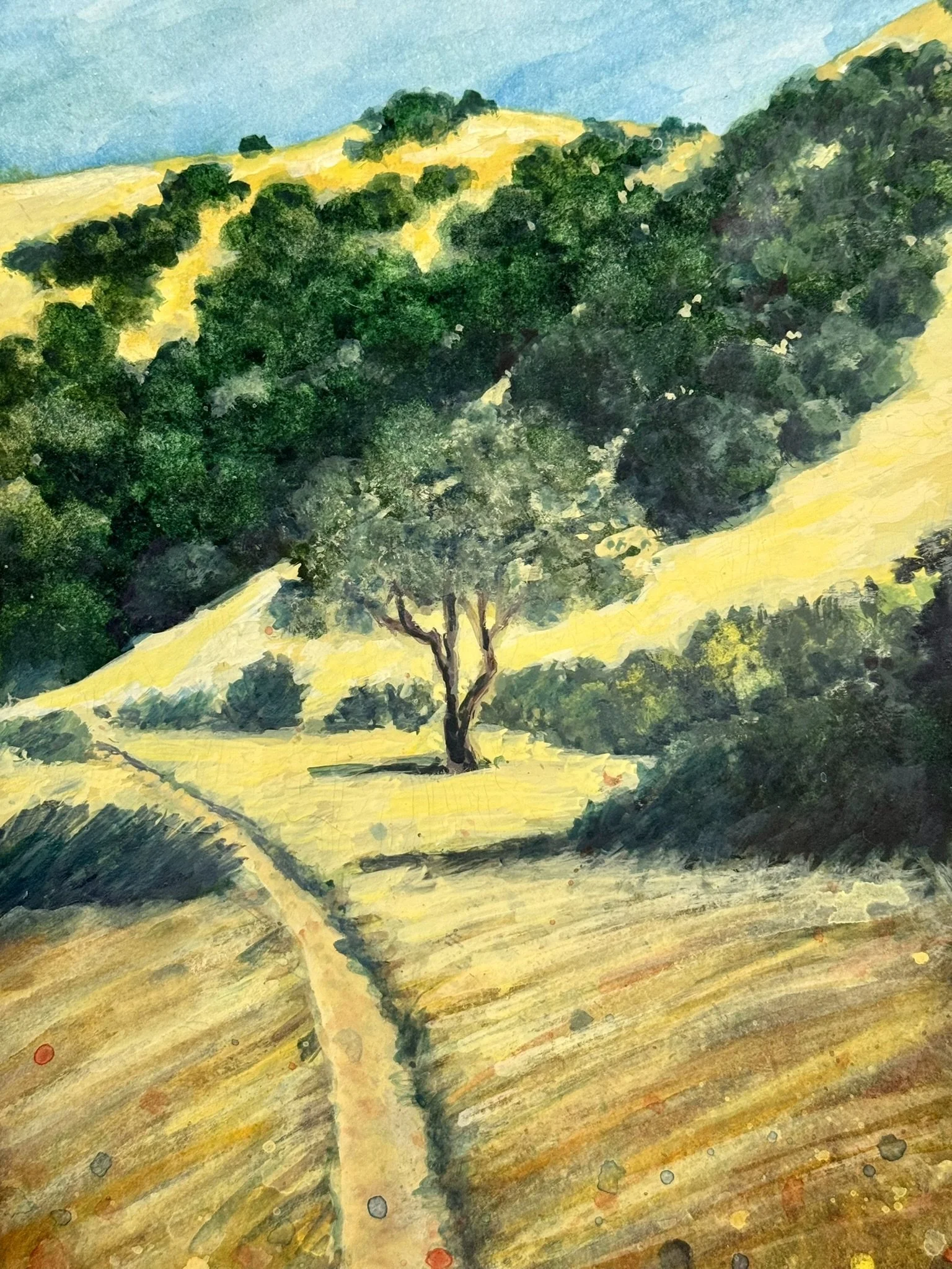 IMG_6636_lucas vallley series.JPEG