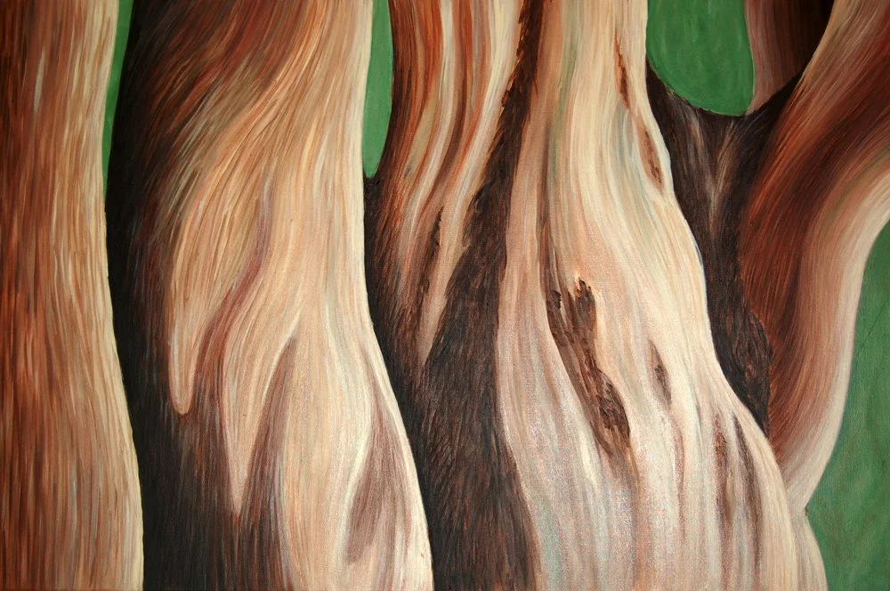 Sized_April-Art_Eucalyptus.jpg