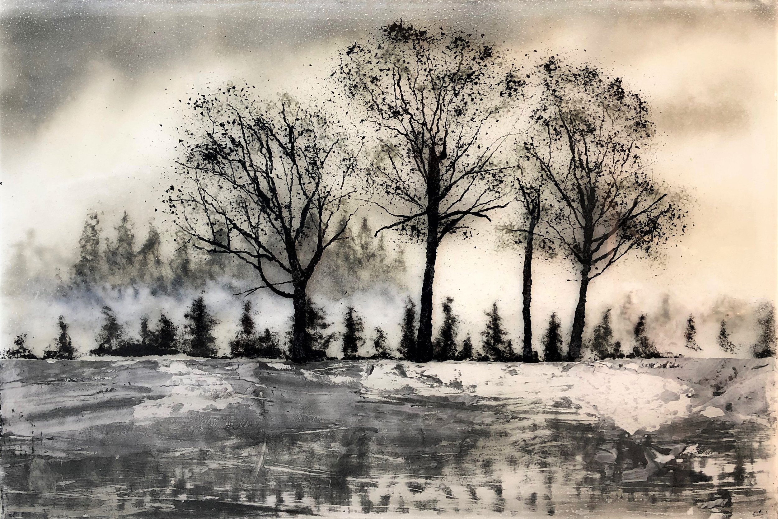 Three Oaks in Fog.jpg