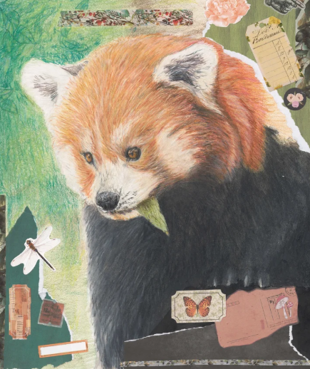 Screenshot 2026-01-15 161142.png