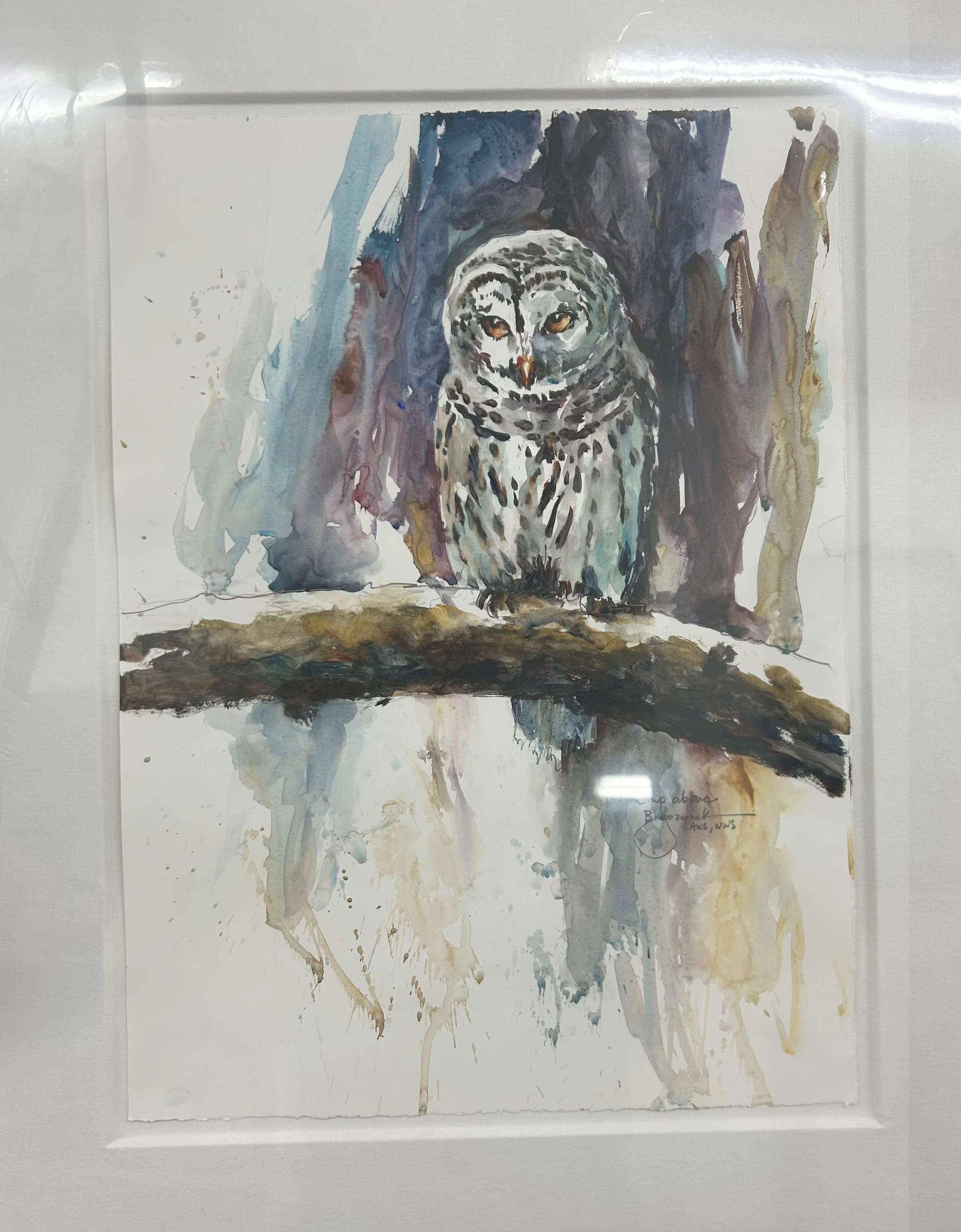 "From Up Above" $125