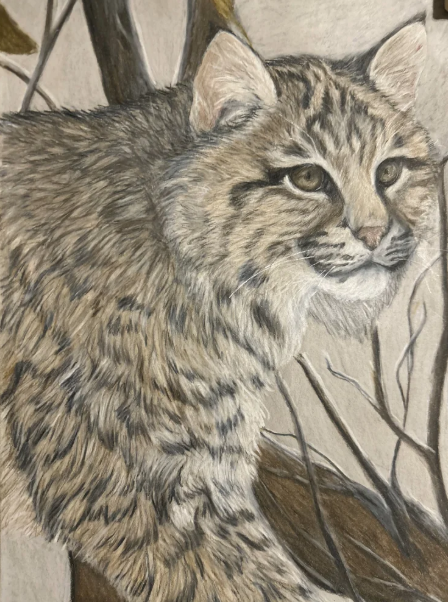 Screenshot 2026-01-15 161117.png