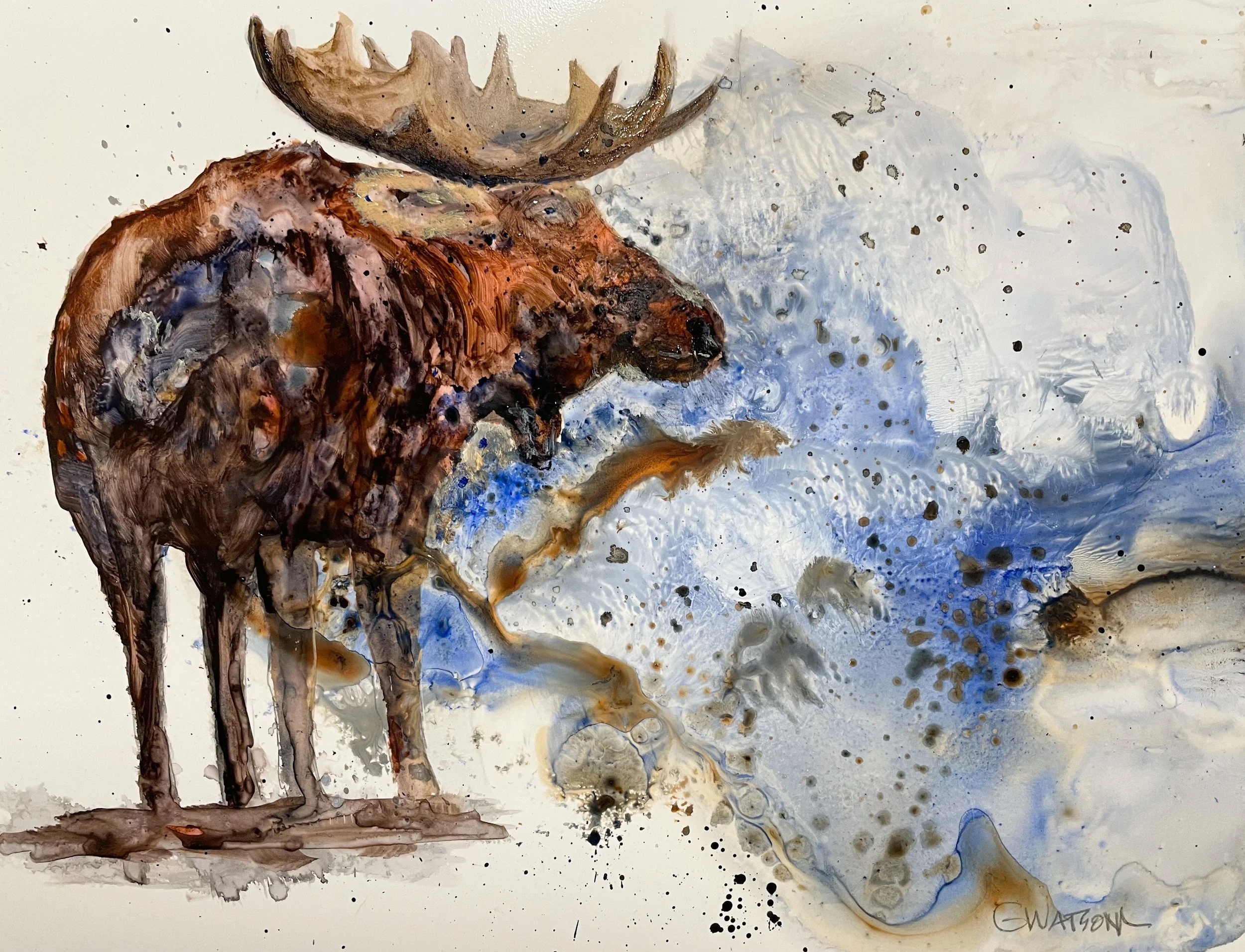 Moose on the Loose.JPG